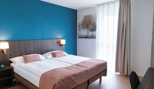 Chambre Double Standard, 1 grand lit, vue jardin