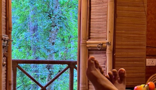 Tree House Classique
