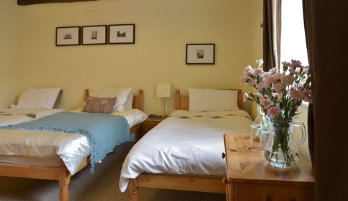 Chambre Deluxe avec lits jumeaux, accessible aux personnes à mobilité réduite (deluxe twin)