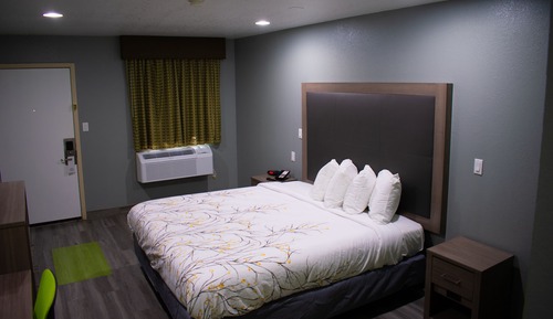 Chambre Exécutive, 1 très grand lit, non-fumeurs