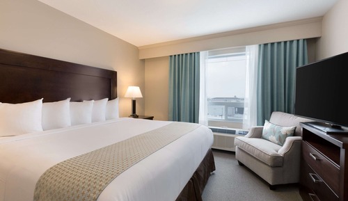 Chambre, 1 très grand lit, accessible aux personnes à mobilité réduite, non-fumeurs