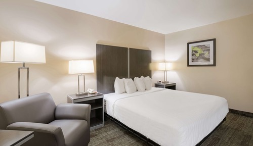 Chambre Standard, 1 très grand lit, accessible aux personnes à mobilité réduite, non-fumeurs