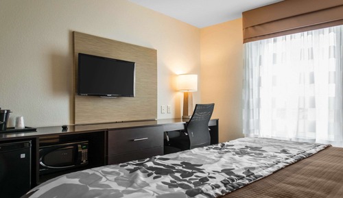 Chambre Standard, 1 très grand lit, non-fumeurs