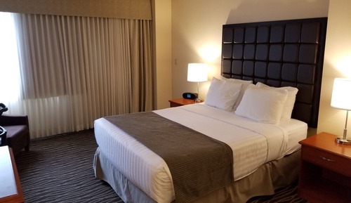 Chambre Standard, 1 grand lit
