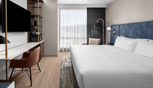 Chambre, 1 très grand lit, accessible aux personnes à mobilité réduite (Hearing)