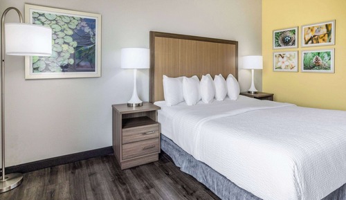 Chambre, 1 très grand lit, accessible aux personnes à mobilité réduite (Bathtub w/ Grab Bars)