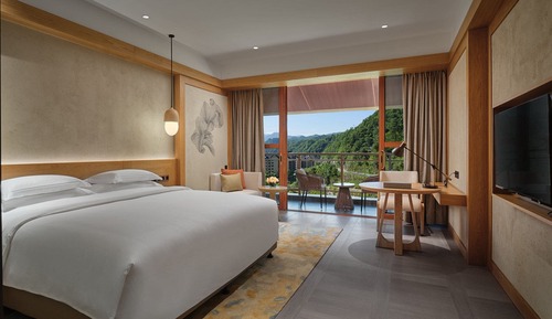 Chambre Standard, 1 très grand lit, accès salon affaires, vue jardin