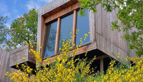 Cabane (Red Squirrels Rest)