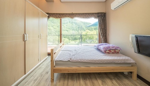 Chambre, 1 chambre (sky201)
