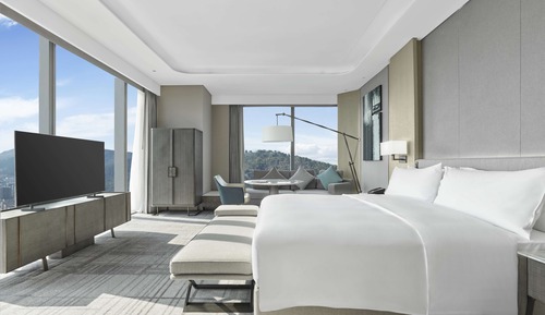 Chambre Exécutive, 1 très grand lit