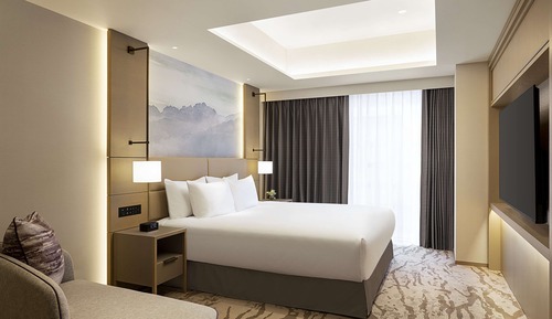 Suite Premium, 1 très grand lit