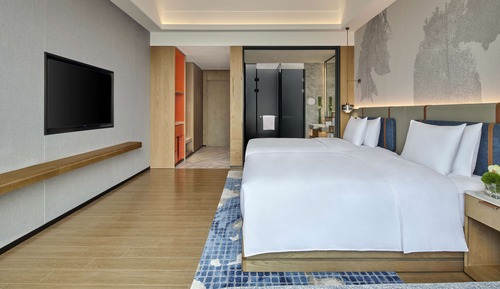Chambre Affaires, 2 lits une place