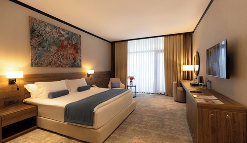 Chambre Double Supérieure, vue montagne