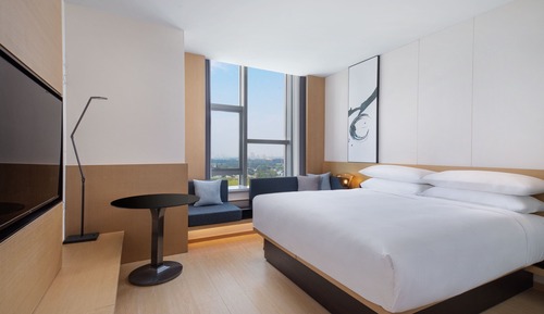 Chambre Standard, 1 très grand lit
