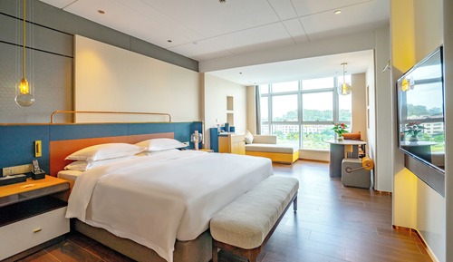 Chambre Supérieure, 1 très grand lit