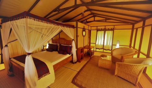 Chambre Quadruple Deluxe