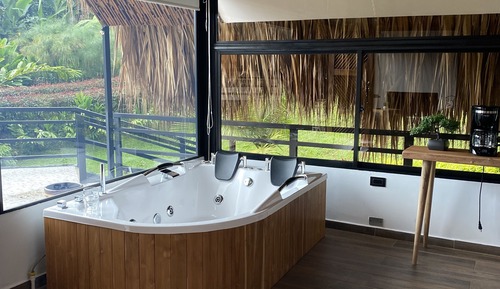 Chambre Deluxe, 1 très grand lit, baignoire à jets