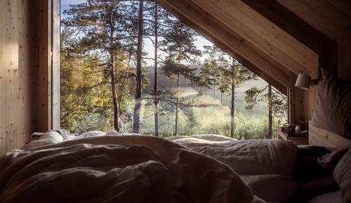 Cabane, vue colline