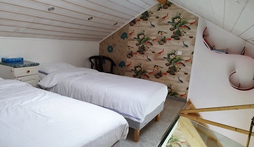 Chambre Double ou avec lits jumeaux, 2 lits une place, non-fumeurs, réfrigérateur