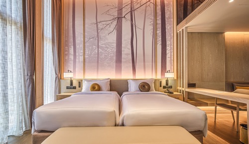 Chambre Deluxe Double ou avec lits jumeaux