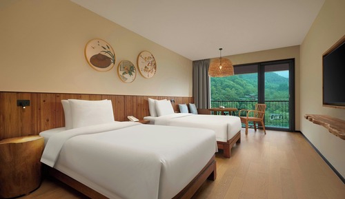 Chambre, 2 lits une place, non-fumeurs, vue montagne