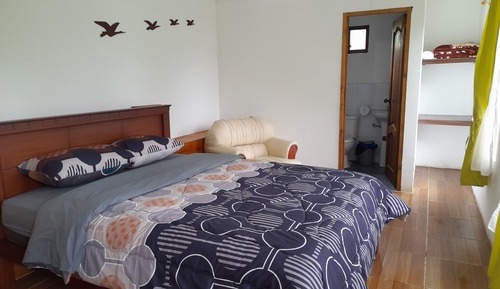 Chambre Double Économique pour 1 personne