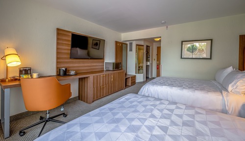 Chambre Standard, 2 lits doubles, vue piscine