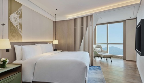 Suite Deluxe, 1 très grand lit