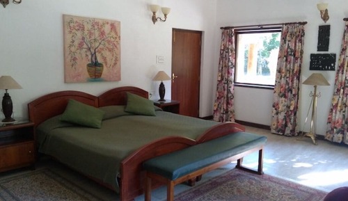 Bungalow Exécutif