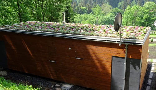 Chalet