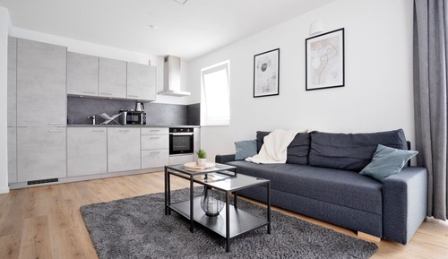 Appartement Supérieur, 1 très grand lit et 1 canapé-lit