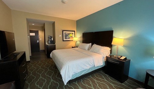 Chambre Standard, 1 très grand lit (Mobility, Roll-In Shower)