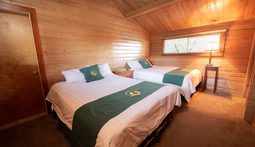 Maison Premium