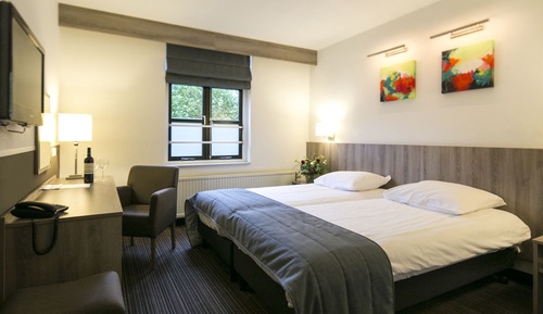 Chambre Standard avec lits jumeaux