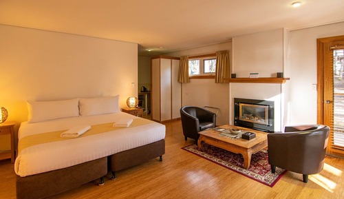 Studio (Fireplace - Lakeside)