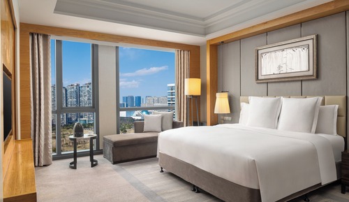 Suite Deluxe, 1 très grand lit