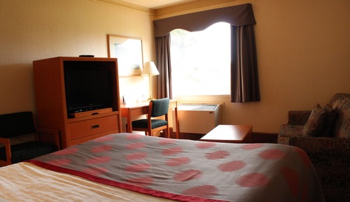 Chambre Standard, 1 grand lit et 1 canapé-lit, non-fumeurs