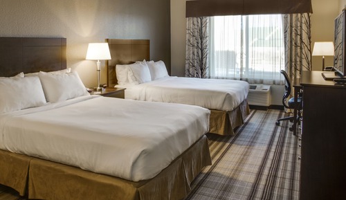 Suite, 1 très grand lit, accessible aux personnes à mobilité réduite (Comm)