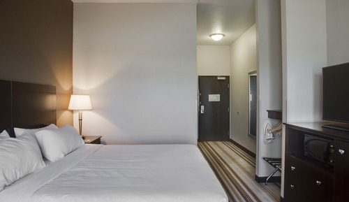 Chambre Standard, 1 très grand lit (Communications, Roll-In Shower)