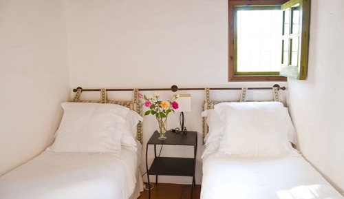 Family Room, 1 King Bed