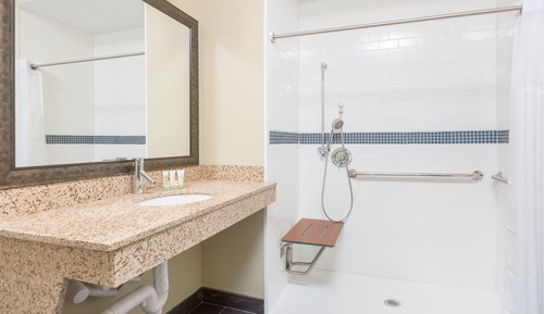 Suite Studio, 1 grand lit, accessible aux personnes à mobilité réduite (Mobility, Roll-In Shower)