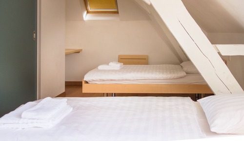 Chambre Standard avec lits jumeaux, salle de bains privée (Château)