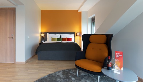 Chambre Deluxe, 1 lit double, non-fumeurs