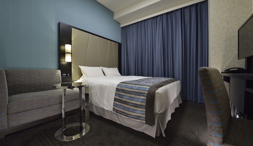 Chambre Double « Premier »