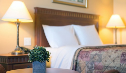 Chambre Exécutive, réfrigérateur