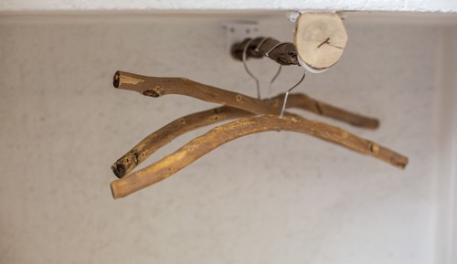 Chambre Supérieure Double ou avec lits jumeaux