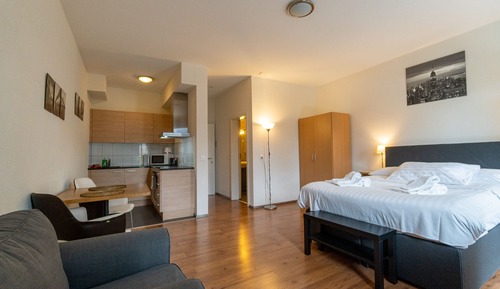 Studio Deluxe, 1 grand lit, non-fumeurs, vue ville