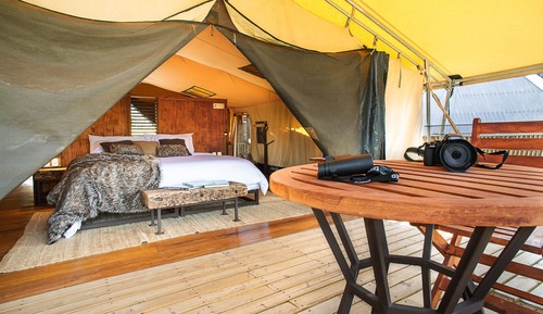 Tente Deluxe, 5 chambres