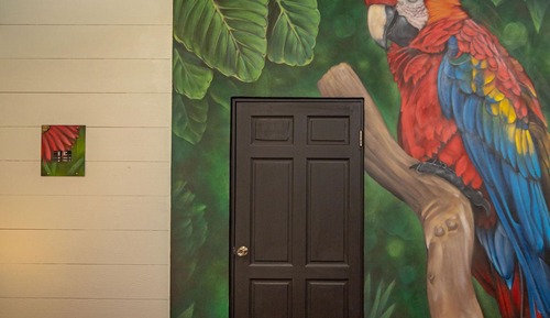 Chambre Sénior