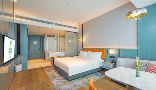 Chambre Standard, 1 très grand lit, vue ville